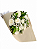 Cone com 12 rosas brancas - Imagem 1