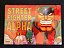 Street Fighter: Alpha - Volume 2 - NewPOP - Imagem 2