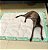 Tapete Higiênico Lavável Cachorro Floresta G - 70x100cm - Imagem 2