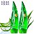 [Holika Holika] Aloe 99% Soothing Gel - Imagem 1