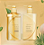 Shiseido Tsubaki Premium Volume Repair Kit 490mL cada - Imagem 1