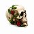 CRANIO COM ROSAS NO ROSTO - Imagem 2