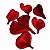 FAVA FLOR CORAÇÃO VERMELHO - Imagem 1