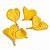 FAVA FLOR CORAÇÃO AMARELO - Imagem 1