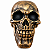 CRANIO EM RESINA DOURADO NEWTON - Imagem 1