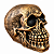 CRANIO EM RESINA DOURADO NEWTON - Imagem 2
