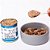 Pet Delicia Hipercalórica Alimentação Úmida para Gatos - 320g - Imagem 3