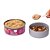 Pet Delicia Maravilha de Frango Alimentação Úmida para Gatos - 110g - Imagem 2