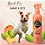 Spray Pet Head Quick Fix Banho a Seco 300ml - Imagem 3