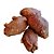 Bexiga Bovina Mordedor Natural para Cães 100g Bicho do Mato 100% Natural - Imagem 1