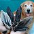 Orelha de Carneiro Desidratada Mordedor 100% Natural Para Cães 5 Unidades Natuka - Imagem 6