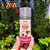 Topper Booster Saborizante 100% Natural Para Racao e Alimentacao Caes Mr Dach 30g Sabor Lombinho Wow Pet Food - Imagem 4
