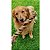 Twist Pele Bovina Desidratada Mordedor 100% Natural Para Cães 1 Unidade Natuka - Imagem 5