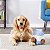 ZippyPaws Pelúcia Interativa Para Cães Burrow Milk And Cookies - Imagem 9