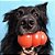 Kong Classic Brinquedo Resistente Recheável Para Cães Mordidas Moderadas Tamanho G - Imagem 10
