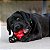 Kong Classic Brinquedo Resistente Recheável Para Cães Mordidas Moderadas Tamanho XXG - Imagem 9