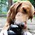 Kong Extreme Brinquedo Resistente Recheável Para Cães Mordidas Fortes Tamanho P - Imagem 9