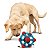 Kong Rewards Tinker Brinquendo Interativo Para Cães Dispenser Para Ração e Petiscos - Imagem 6