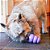 Kong Sênior Brinquedo Resistente Recheável Para Cães e Gatos Idosos Tamanho M - Imagem 9