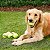 Kong SqueakAir Ball Bola Resistente Para Cães Tamanho G - Imagem 4