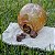 Play Bow Luv Mordedor 100% Natural Para Caes  Bexiga Bovina Recheada Com Pulmao 1 Unidade - Imagem 9