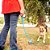 Chuckit Sport Launcher 18M Lançador de Bolinhas Brinquedo Para Cães - Imagem 5