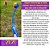 Chuckit Sport Launcher 18M Lançador de Bolinhas Brinquedo Para Cães - Imagem 2