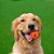 Chuckit Air Fetch Ball Brinquedo Bola Para Cães 1 Unidade Tamanho G - Imagem 6