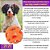 Chuckit Air Fetch Ball Brinquedo Bola Para Cães 1 Unidade Tamanho G - Imagem 2