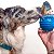 SodaPup Brinquedo Recheável Dispenser Para Cães Honey Pot Cor - Imagem 5