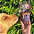 SodaPup Brinquedo Recheável Dispenser Para Cães Honey Pot Cor - Imagem 7