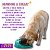 Nina Ottosson Brinquedo Interativo Comedouro Lento Para Cães Dog Spin' N Eat Nivel 2 Outward Hound - Imagem 2