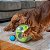 Nina Ottosson Brinquedo Interativo Para Cães A Maze Ball Acompanha 2 Bolas Nivel 2 Outward Hound - Imagem 6