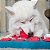 Nina Ottosson Brinquedo Interativo Para Cães Tabuleiro Dog Brick Nivel 2 Outward Hound - Imagem 6