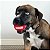 Kong Signature Sport Bolinha Para Cães Com 2 Unidades Tamanho G - Imagem 5