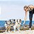 Kit Chuckit Lançador Bolinhas Sport Launcher 18M + Ultra Ball e Confetti Tam M Para Cães - Imagem 5