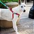 Peitoral Para Cachorro Regulável Resistente Modelo Americano Step-In Catchup Tamanho M - Imagem 7