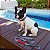 Coleira Para Caes e Gatos Tamanho G Catchup Resistente Woley - Imagem 6