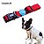 Coleira Para Caes e Gatos Tamanho M Catchup Resistente Woley - Imagem 1