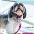 Guia Para Cães Tamanho P Purple Woley Mosquetão Resistente - Imagem 5