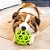 JW Holee Roller Bola Interativa Recheável Para Cães Tamanho G - Imagem 5