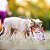Carnilove Crunchy Snack Avestruz Com Amora Petisco Crocante Natural Para Cães 200g - Imagem 6