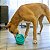 Kong Licks Rewards Brinquedo Interativo Para Cães Joao Bobo de Lamber - Imagem 6