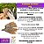 Rabinho de Peixe Tilápia Petisco 100% Natural Para Cães e Gatos Pet Bem 60g - Imagem 3
