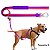 Guia Para Cães Tamanho G Purple Woley Mosquetão Resistente - Imagem 1