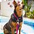 Coleira Para Cães e Gatos Tamanho G Purple Macia Resistente Woley - Imagem 5