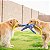 ZippyPaws Pelúcia Para Cães Cabo de Guerra RopeTugz Macaco Azul Com Apito - Imagem 7