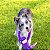 ZippyPaws Pelúcia Para Cães Cabo de Guerra RopeTugz Macaco Roxo Com Apito - Imagem 9