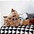 ZippyPaws Pelúcia Para Cães Jigglerz Esquilo Com Apito - Imagem 7
