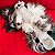 ZippyPaws Pelúcia Para Cães Jigglerz Guaxinim Com Apito - Imagem 5